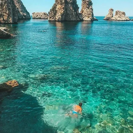 Le Di Palma - Viola *