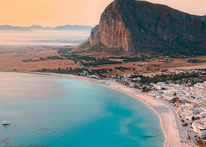 Le Di Palma - Viola *