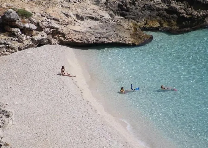 Le Di Palma - Viola Prázdninový dům *