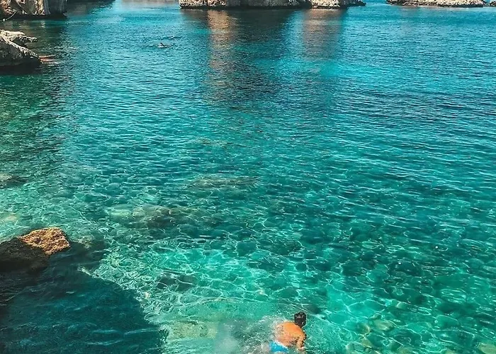 Le Di Palma - Viola *