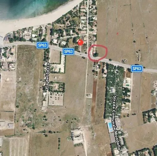 Le Di Palma - Viola *